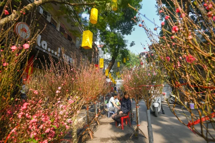 Chợ tết Hải Phòng