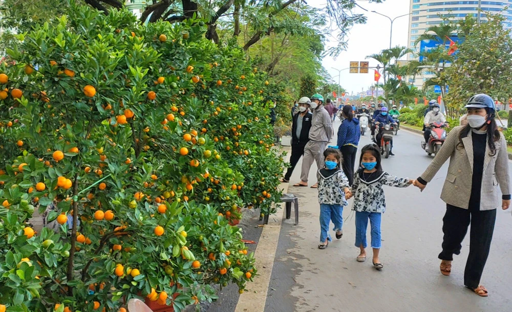Chợ tết Lê Hồng Phong, Hải Phòng Chợ tết Lê Hồng Phong, Hải Phòng